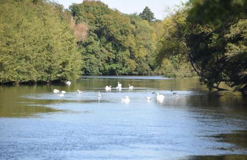 La Chaumine des Épicuriens Garden Parking - Photo 8