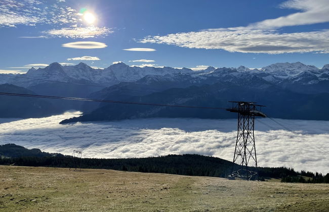 Haus der Schwalbe - Foto 43
