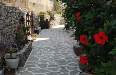 Dina's Diamond - Foto 41