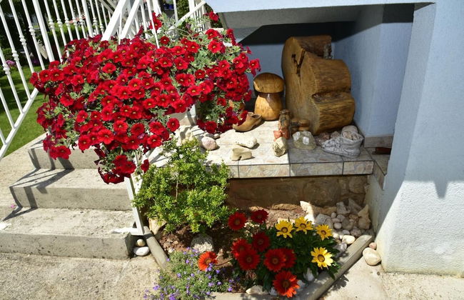 Apartment Blumen Oase - Foto 28