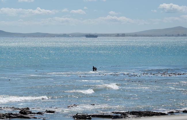 Sandringham 45 - Photo 5