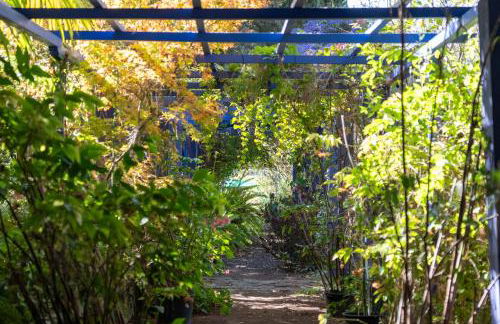 Vivelorural Casita Vintage, Santa Brígida - Foto 41