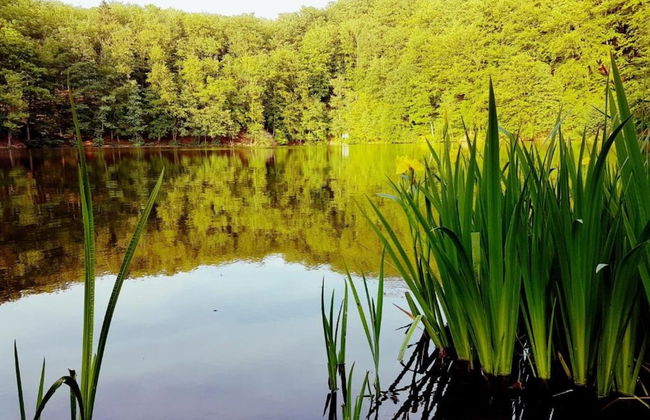 Charming Holiday Home With Natural Garden in Kaltennordheim-thuringia - Foto 65