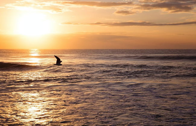 Charming 1 Bedroom Apartment in Vibrant South Yarra - Foto 8