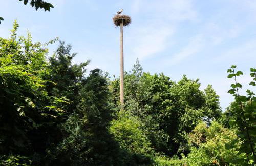 Ferienwohnung Im Heumond in Buschhagen - Foto 59