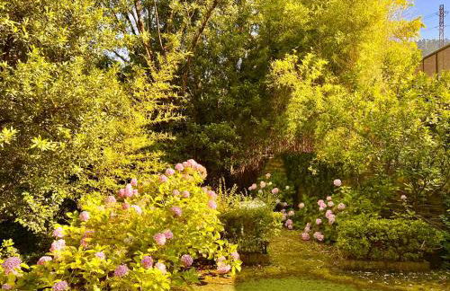 Casona Puente Viesgo - Monabri - Foto 12