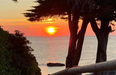 L'ARMONIA entre la Farella i Cau del LLOP - Foto 30