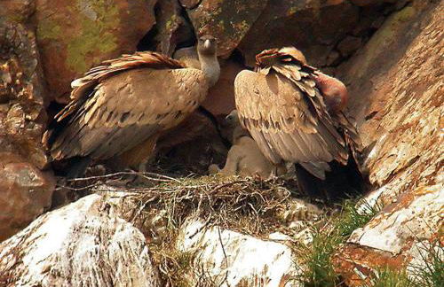 Casa Rural " LA PARRA" - Foto 34