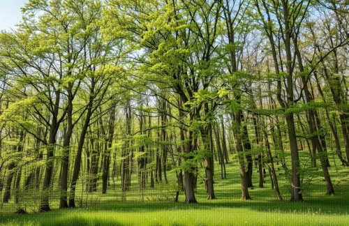 Modern Apartment in Hambachtal Holiday Park - Foto 51