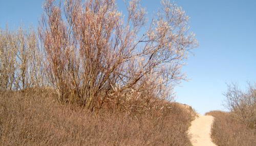 Ferienhäuschen - Foto 3