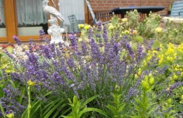 Ferienwohnung Borchert - Foto 41