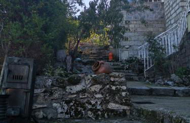 Los corzos - Photo 38