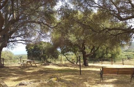 Vistamare - Photo 45