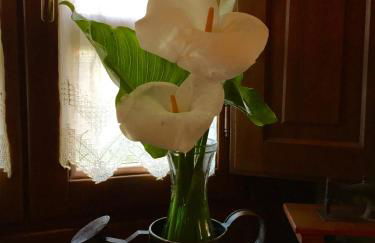 La Casona de Benito - Foto 56