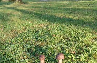 Rykowisko - domki całoroczne nad jeziorem i rzeką - Foto 38