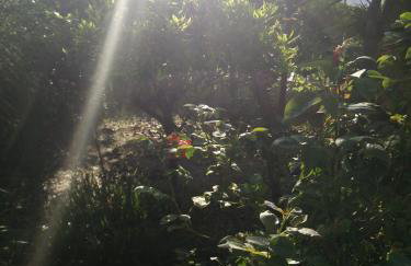 Apartments Villa Rosa - Foto 8