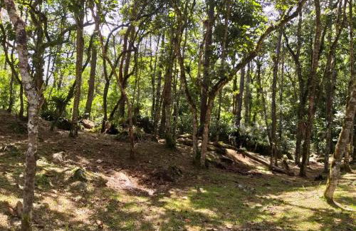 Visconde de Mauá Ksa de Varanda - Foto 37