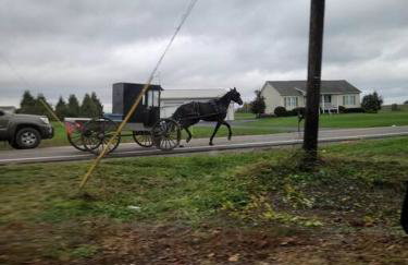 Country Cottage - Foto 20