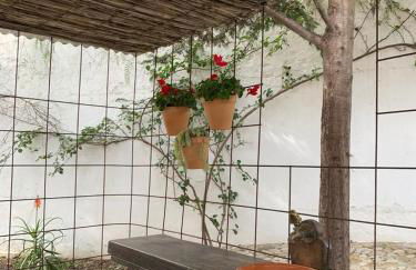 Casas de Almajar - Foto 12