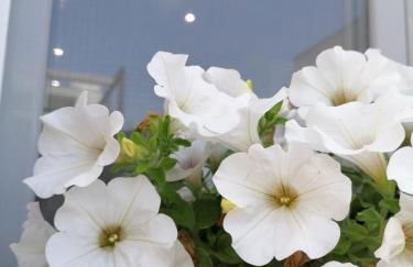 Casa Low Cost - Foto 46