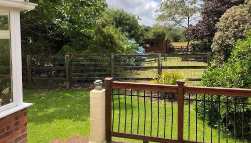 The Swallows - Foto 2