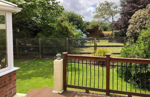 The Swallows - Foto 2