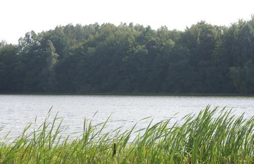 Dom nad jeziorem Lewinko Kaszuby - Photo 21