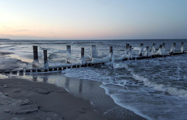 Captain Pahlen Ferienanlage - Foto 32