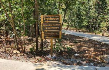 Blooming Redbud Treehouse with private hot tub - Foto 6