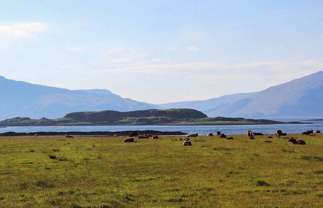 Lurach Flat - Photo 11