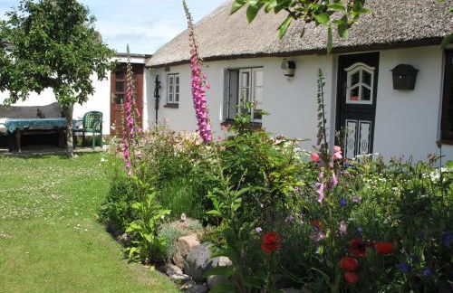 Haus-an-de-Marsch - Foto 20