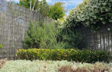 B&B Dolce Sogno - Foto 57