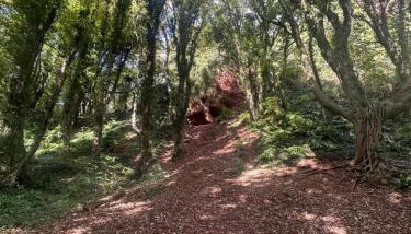 Watcombe Hideaway Romantic Coastal Retreat - Foto 2