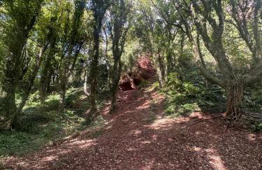 Watcombe Hideaway Romantic Coastal Retreat - Foto 2