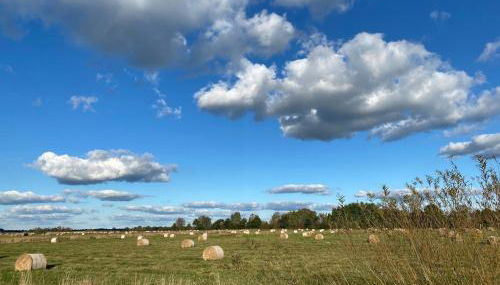 FeWo Hasen Suite - Foto 5