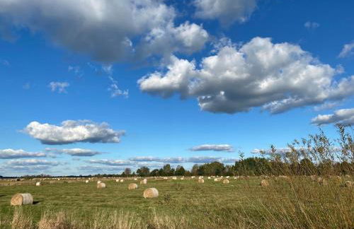 FeWo Hasen Suite - Foto 5