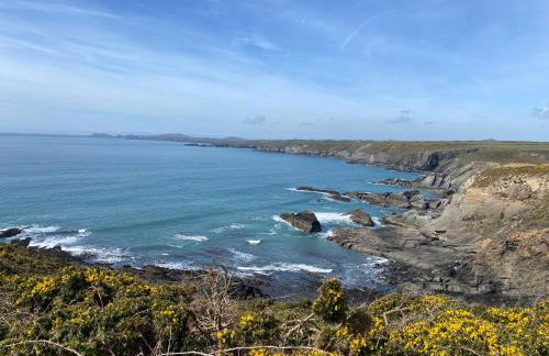 Tremanhire Cottage - Photo 17