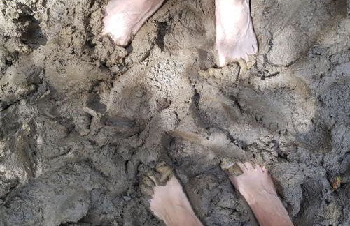 Apartment Bär by Interhome - Foto 42