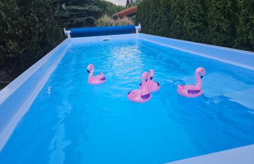 Mazurska Tajemnica 3 - Domek D - Photo 1