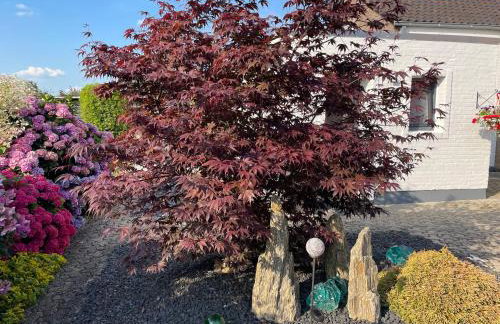 Haus Am Damm - Foto 26