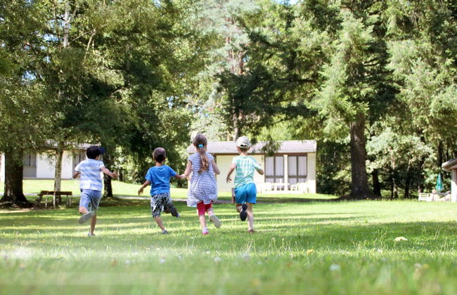 VVF Cantal Champs-sur-Tarentaine - Photo 36
