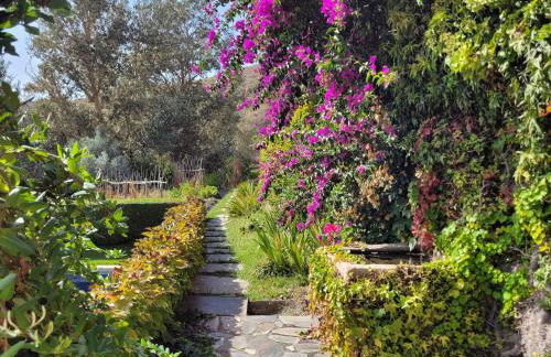 Bancal de Los Pérez - Foto 51