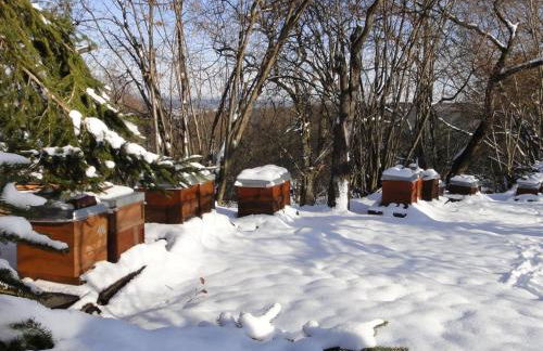 Ferienwohnung Bienenherz - Foto 25