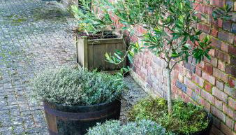 Sheep Shed Rural Farm Cottage in Stelling Minnis Canterbury - Area of Outstanding Natural Beauty - Foto 3