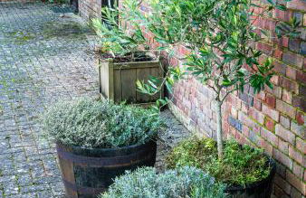 Sheep Shed Rural Farm Cottage in Stelling Minnis Canterbury - Area of Outstanding Natural Beauty - Foto 3