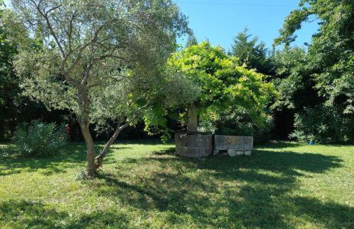 La maison des Alpilles - Foto 40