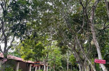 Sítio na Serra de Mulungu - Foto 28