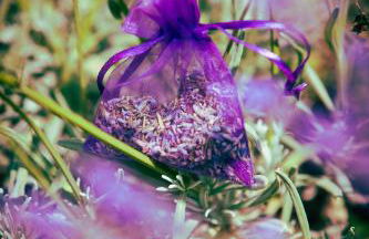 Casale Elisa Country Hotel - Foto 13