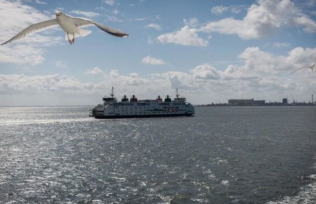 Holiday Apartment Salt and Dunes - Foto 8