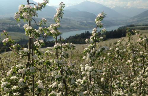 Casa Vacanze Fontana - Foto 16